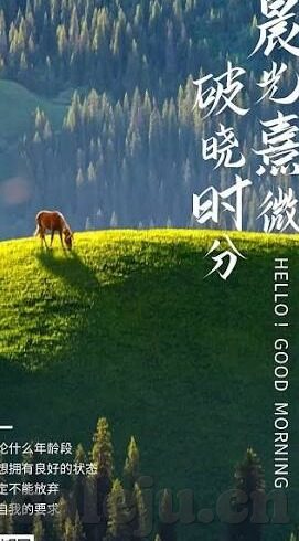 成人免费视频播放-网络世界的灰色地带