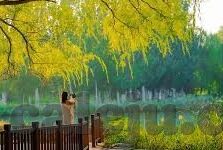 国产精品成人无码视频-国产影视艺术的独特魅力，探索国产精品成人无码视频的魅力与价值