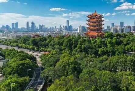国产剧情视频一区二区麻豆-中国本土剧情视频的多元探索，一区二区的麻豆现象