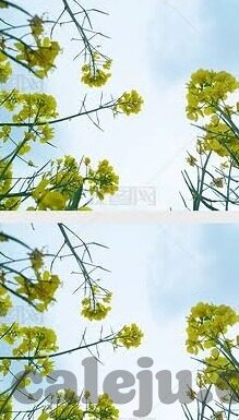 麻豆91自拍-麻豆91自拍，一个摄影新语境的探讨