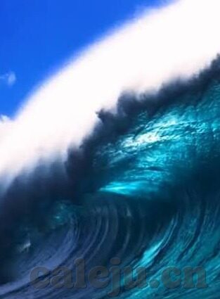 麻豆阿宾视频-麻豆阿宾视频，网络世界的意外之春