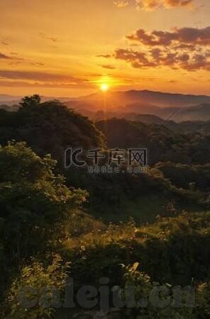 免费一区二区-探索网络服务的多元化与免费资源，一区二区的价值与界限