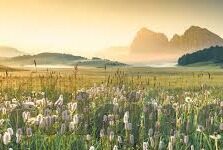 糖心app破解版无限-了解数字世界的界限，糖心APP的误用与安全探讨
