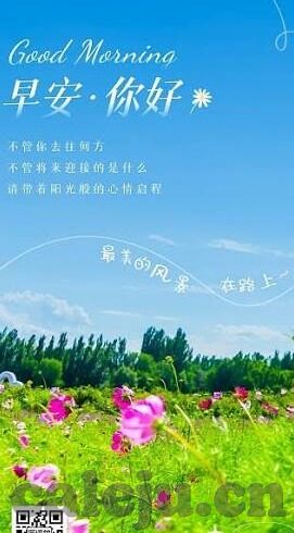 糖心vlog包子视频-糖心vlog，包子视频的快乐与魅力